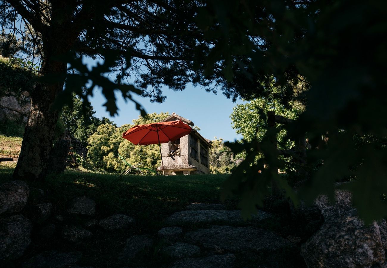 House in Valdosende - Quinta d' Azenha by House and People